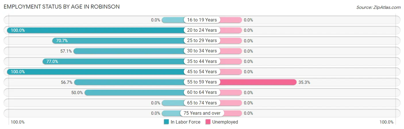 Employment Status by Age in Robinson