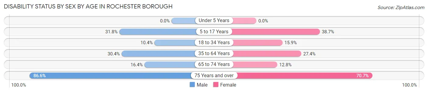 Disability Status by Sex by Age in Rochester borough