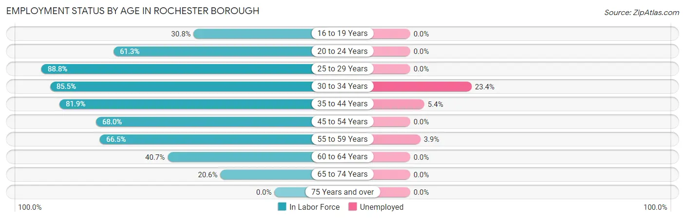 Employment Status by Age in Rochester borough