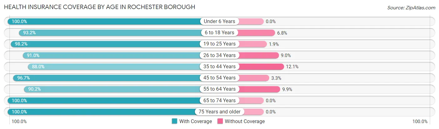 Health Insurance Coverage by Age in Rochester borough