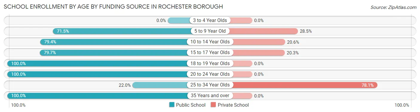 School Enrollment by Age by Funding Source in Rochester borough