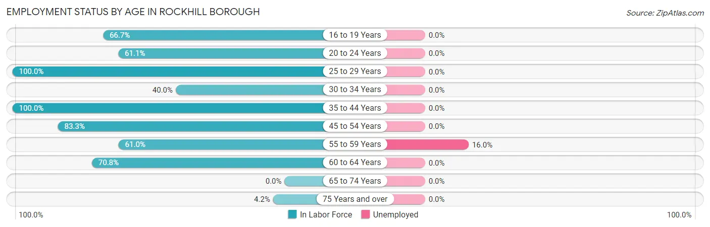 Employment Status by Age in Rockhill borough