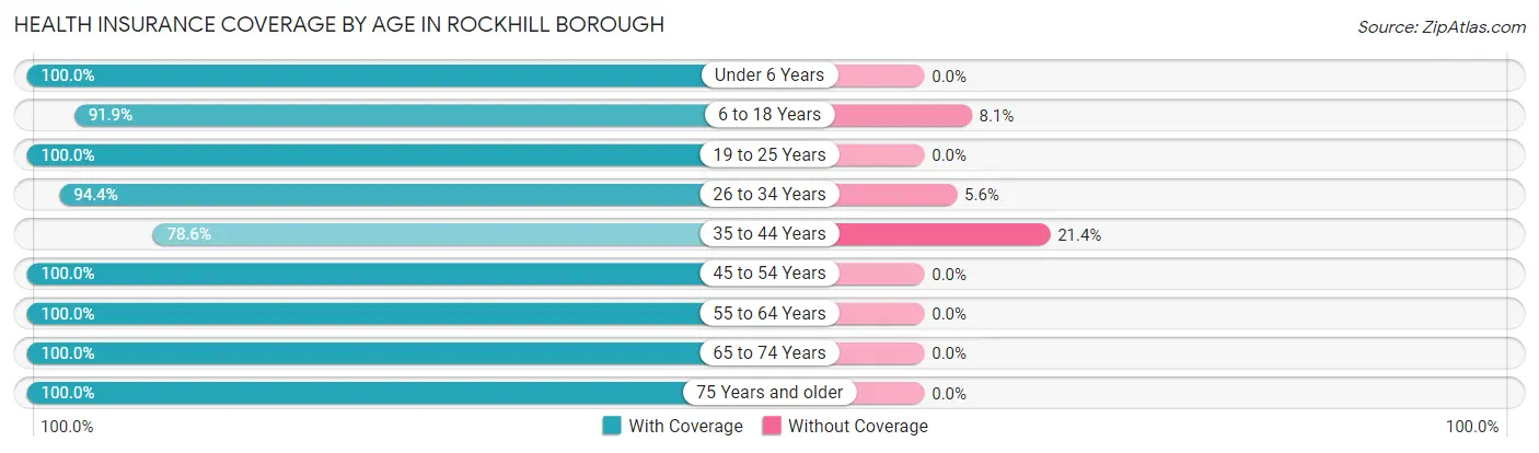 Health Insurance Coverage by Age in Rockhill borough