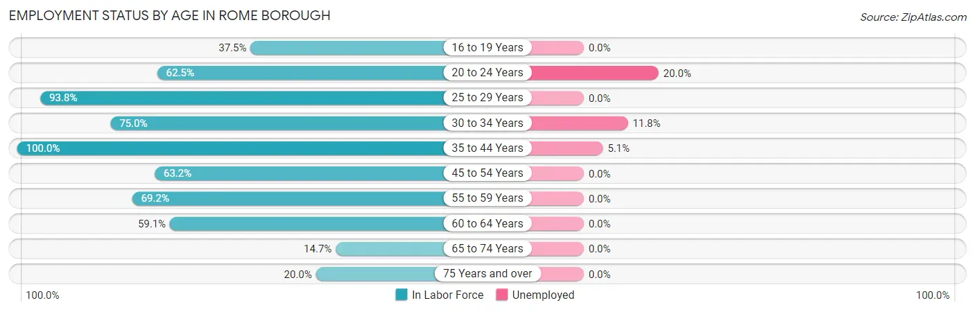 Employment Status by Age in Rome borough