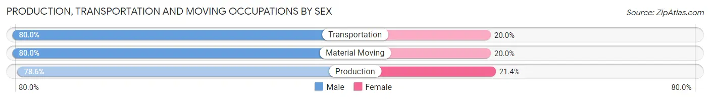Production, Transportation and Moving Occupations by Sex in Rome borough