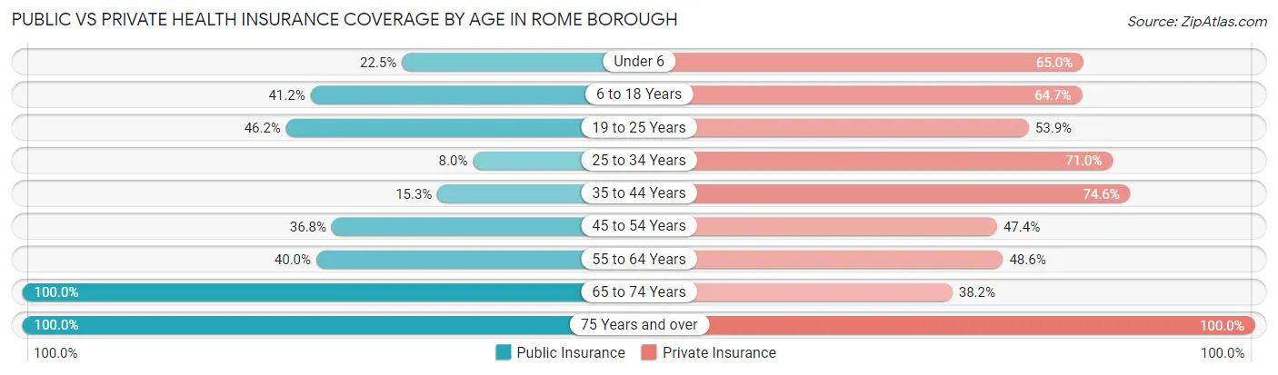 Public vs Private Health Insurance Coverage by Age in Rome borough