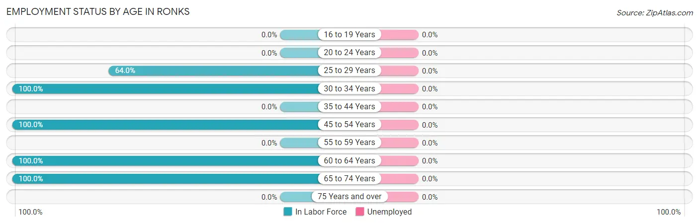 Employment Status by Age in Ronks