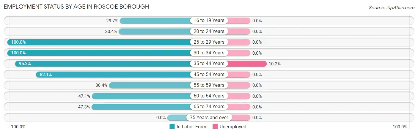 Employment Status by Age in Roscoe borough