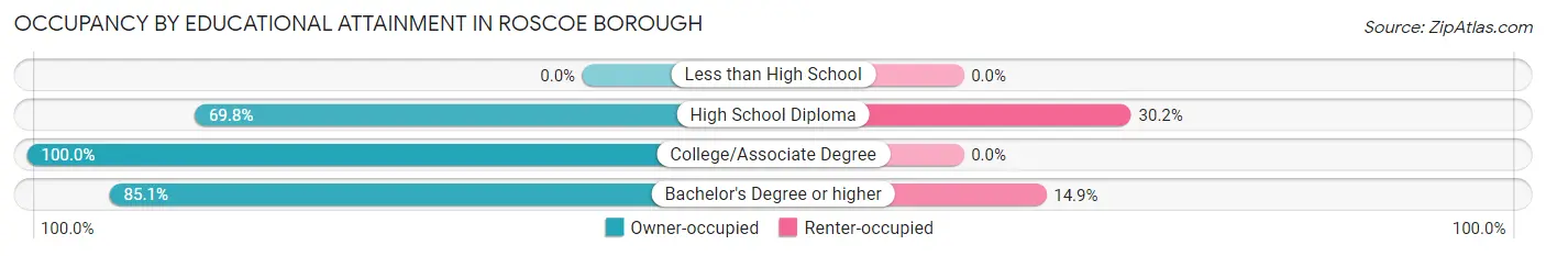 Occupancy by Educational Attainment in Roscoe borough