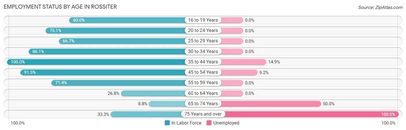 Employment Status by Age in Rossiter
