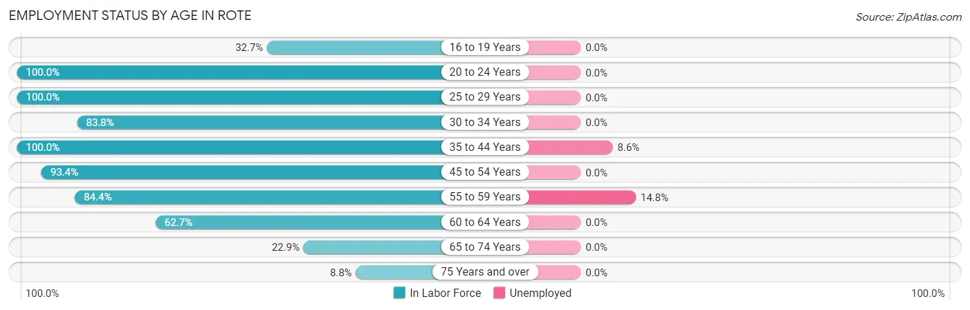 Employment Status by Age in Rote