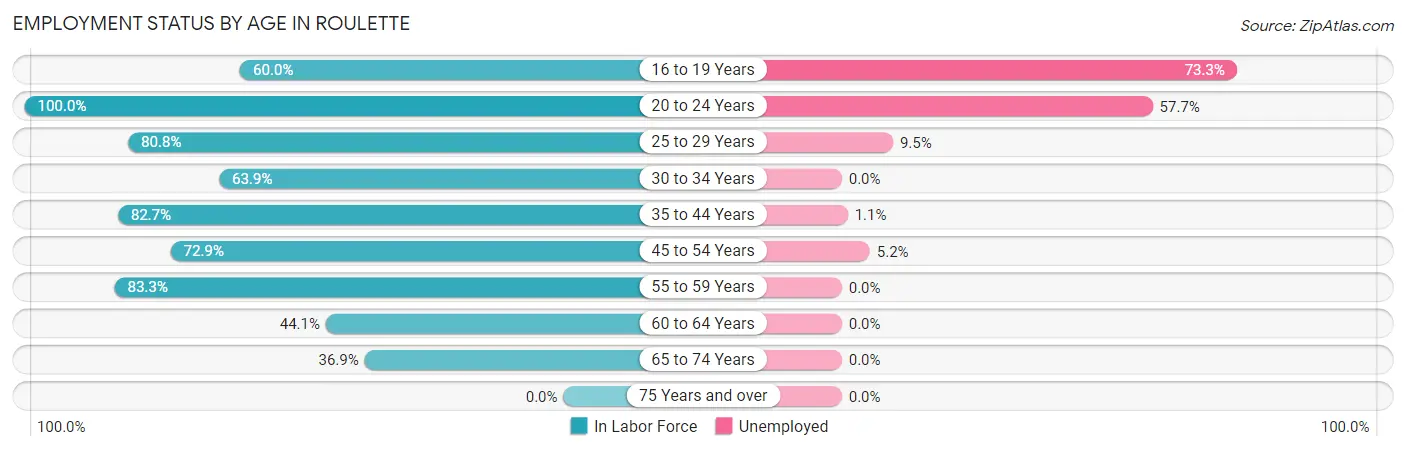 Employment Status by Age in Roulette
