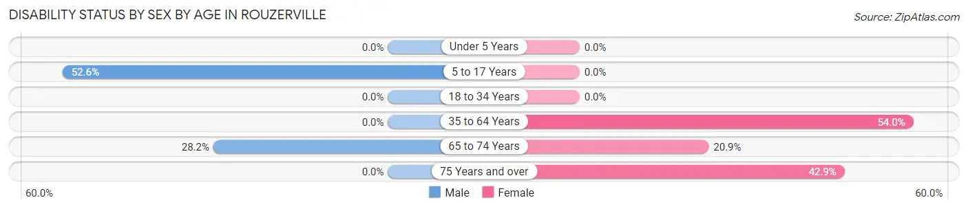 Disability Status by Sex by Age in Rouzerville