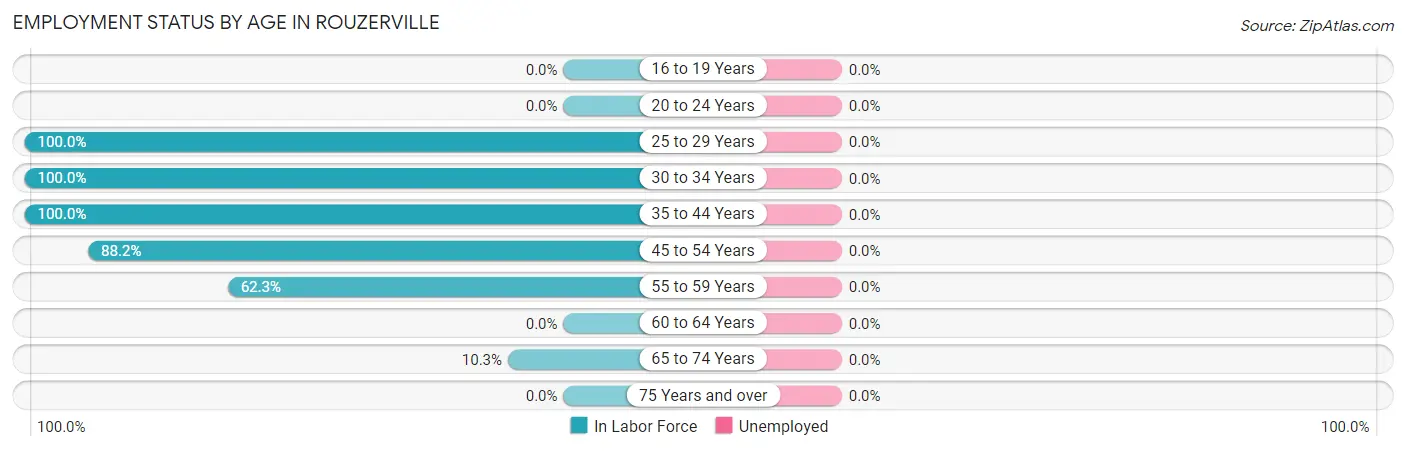 Employment Status by Age in Rouzerville
