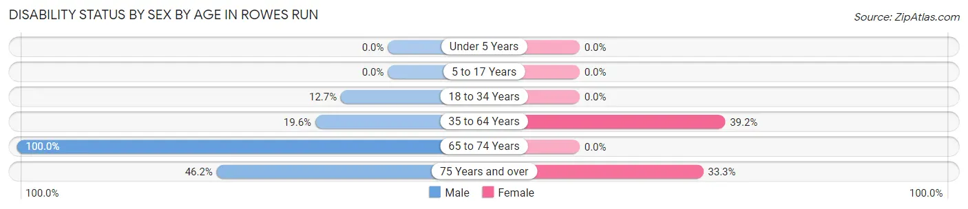 Disability Status by Sex by Age in Rowes Run
