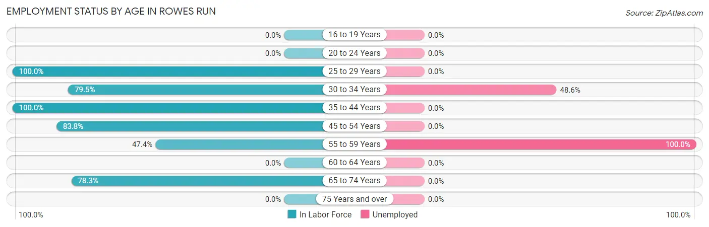 Employment Status by Age in Rowes Run