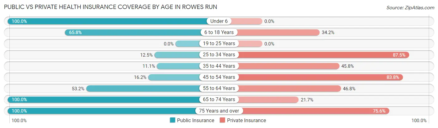 Public vs Private Health Insurance Coverage by Age in Rowes Run