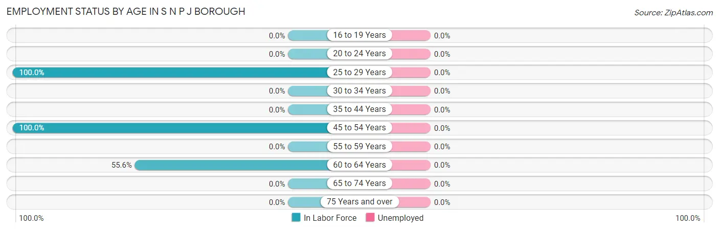 Employment Status by Age in S N P J borough