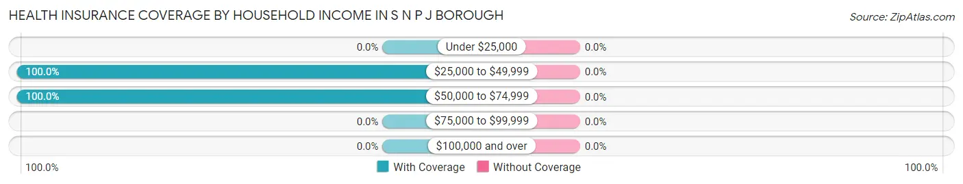 Health Insurance Coverage by Household Income in S N P J borough