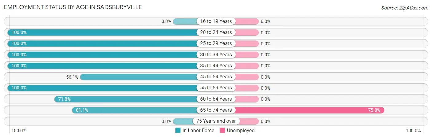 Employment Status by Age in Sadsburyville