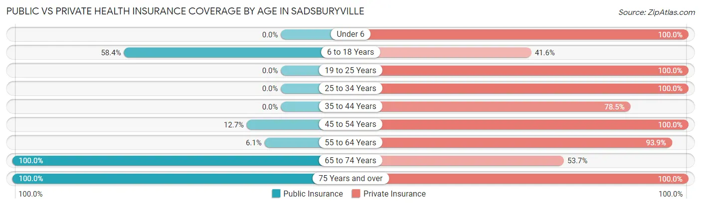 Public vs Private Health Insurance Coverage by Age in Sadsburyville