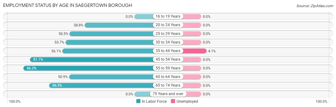 Employment Status by Age in Saegertown borough