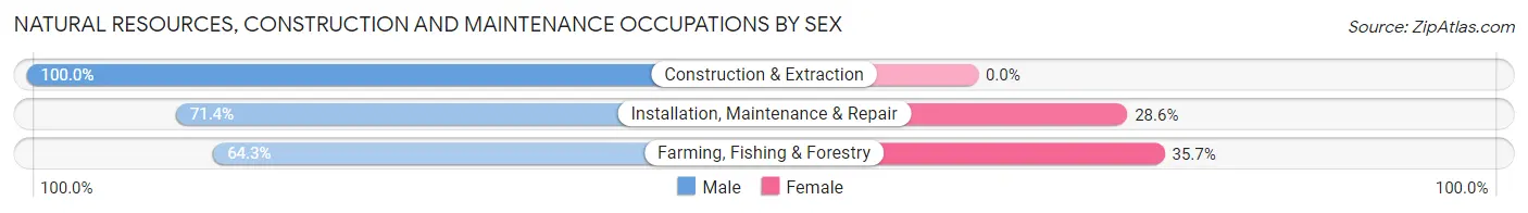 Natural Resources, Construction and Maintenance Occupations by Sex in Saegertown borough