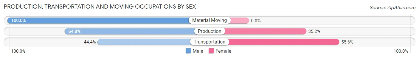 Production, Transportation and Moving Occupations by Sex in Saegertown borough