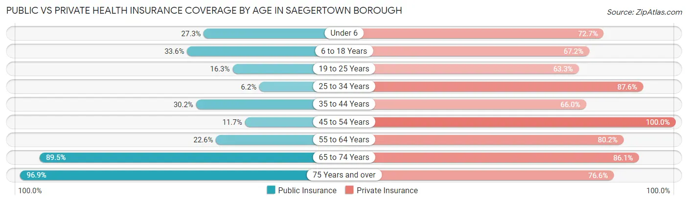 Public vs Private Health Insurance Coverage by Age in Saegertown borough