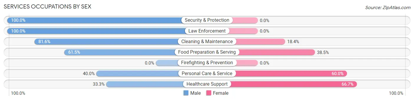 Services Occupations by Sex in Saegertown borough