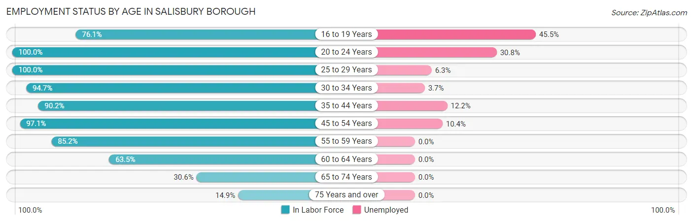 Employment Status by Age in Salisbury borough