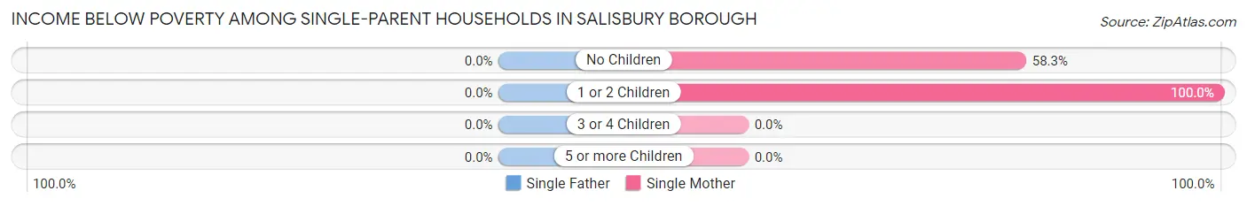 Income Below Poverty Among Single-Parent Households in Salisbury borough