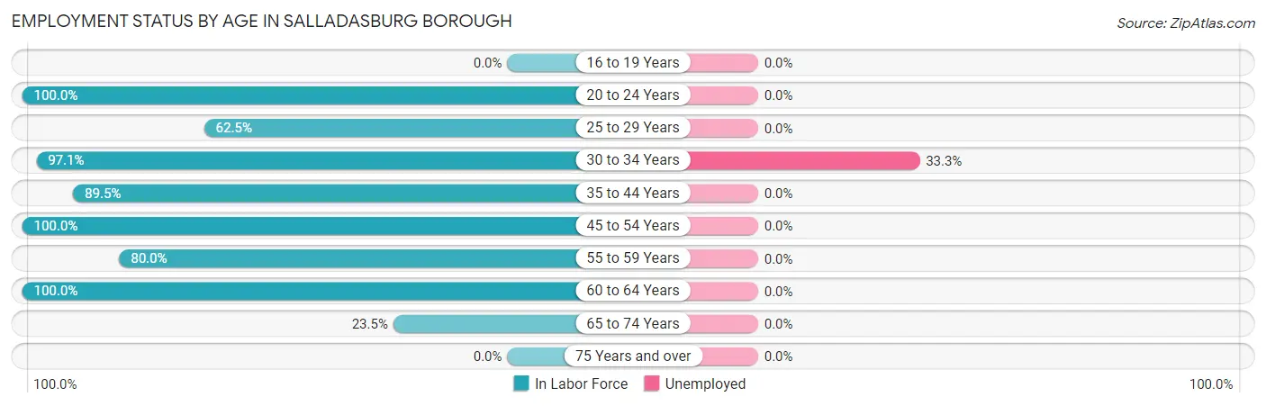 Employment Status by Age in Salladasburg borough