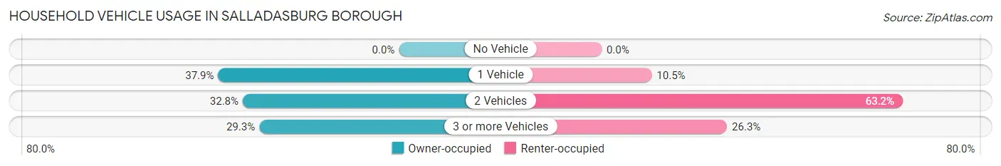 Household Vehicle Usage in Salladasburg borough