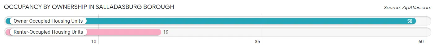 Occupancy by Ownership in Salladasburg borough