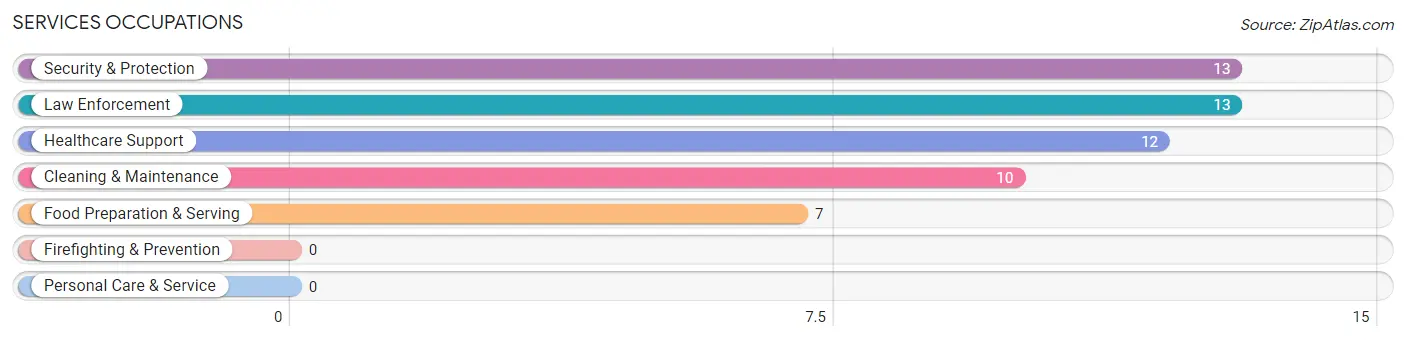 Services Occupations in Salladasburg borough