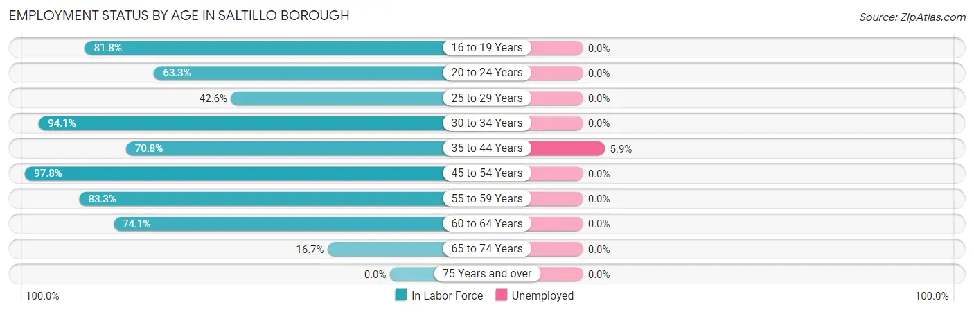 Employment Status by Age in Saltillo borough