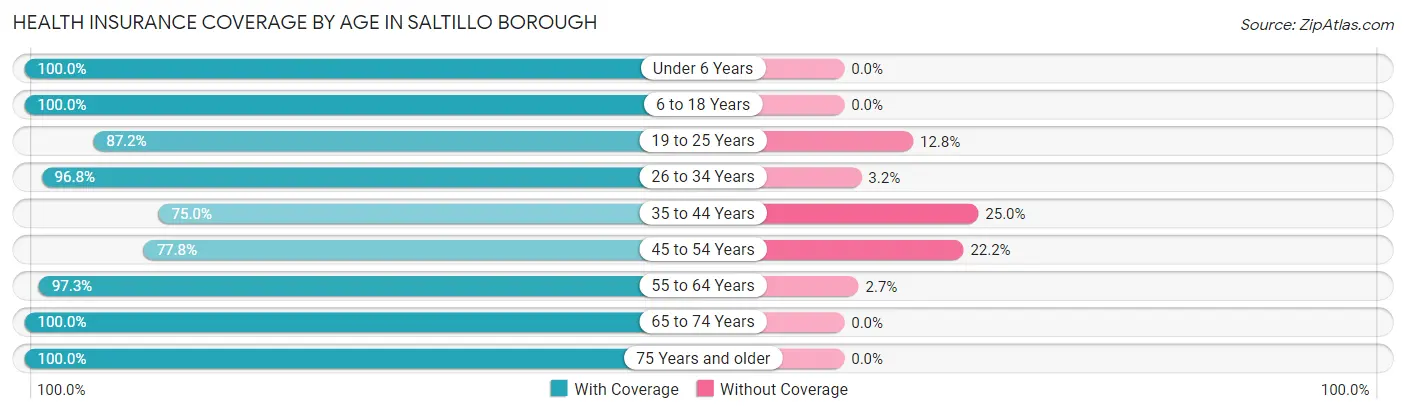 Health Insurance Coverage by Age in Saltillo borough
