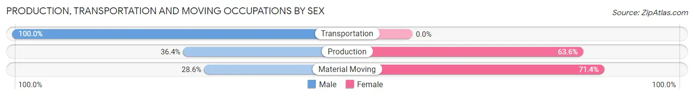 Production, Transportation and Moving Occupations by Sex in Saltillo borough