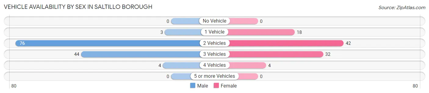 Vehicle Availability by Sex in Saltillo borough