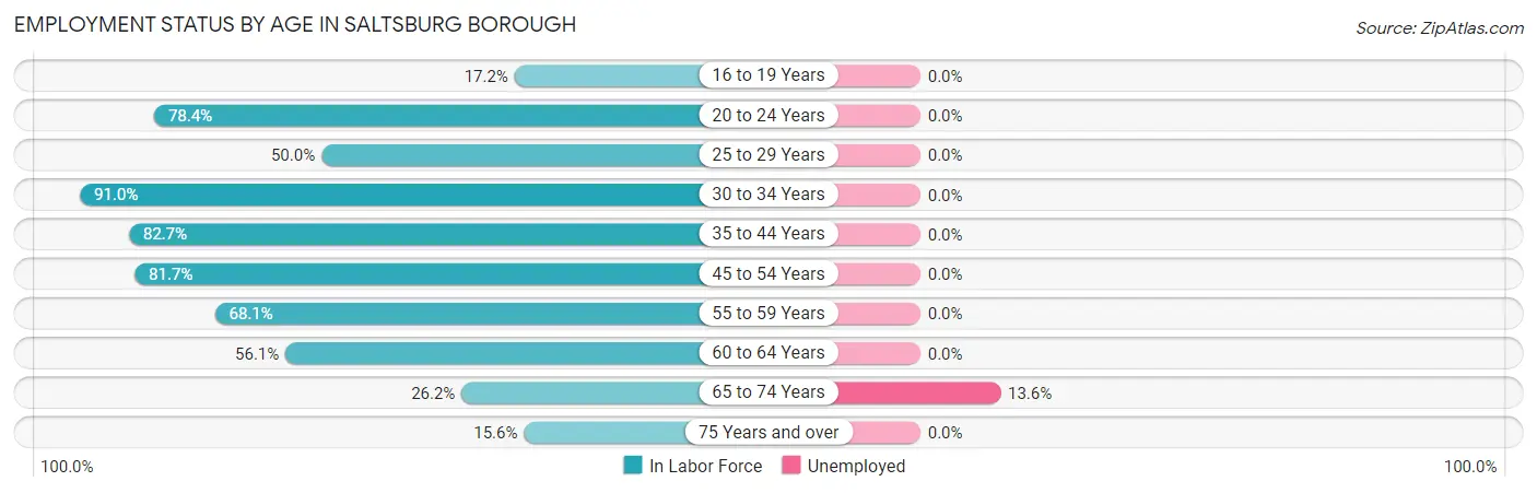 Employment Status by Age in Saltsburg borough