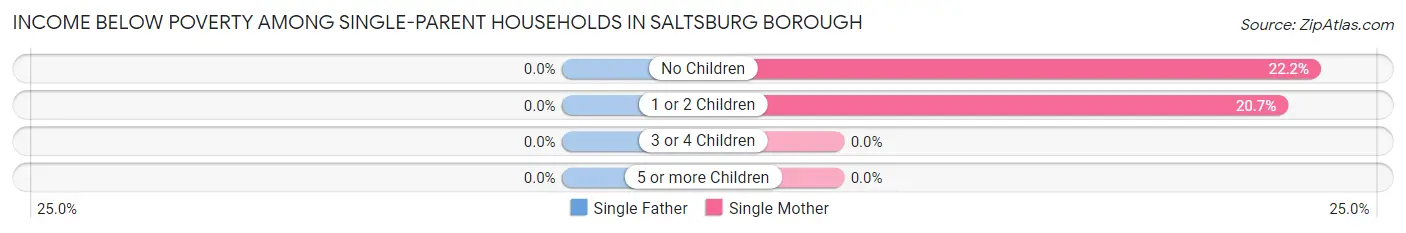 Income Below Poverty Among Single-Parent Households in Saltsburg borough