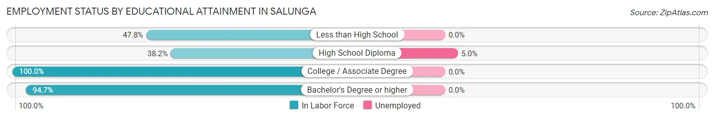 Employment Status by Educational Attainment in Salunga
