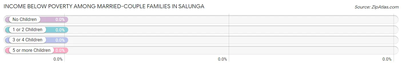 Income Below Poverty Among Married-Couple Families in Salunga