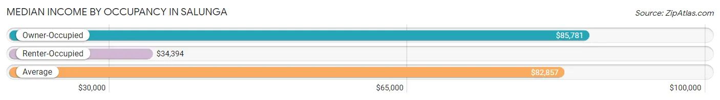 Median Income by Occupancy in Salunga