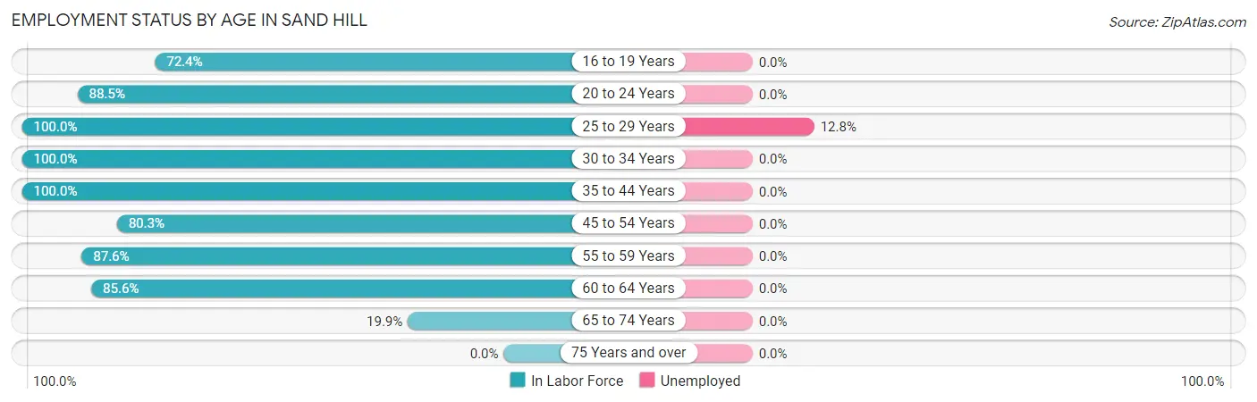 Employment Status by Age in Sand Hill