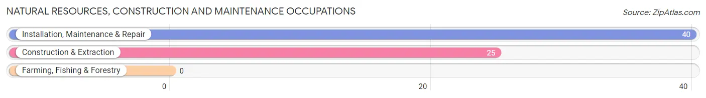 Natural Resources, Construction and Maintenance Occupations in Sandy