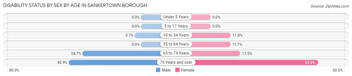 Disability Status by Sex by Age in Sankertown borough