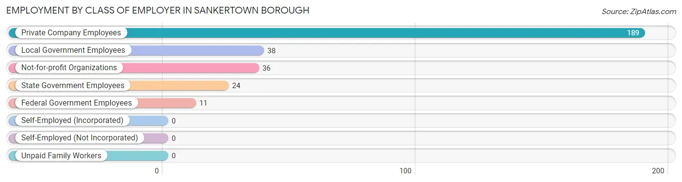Employment by Class of Employer in Sankertown borough