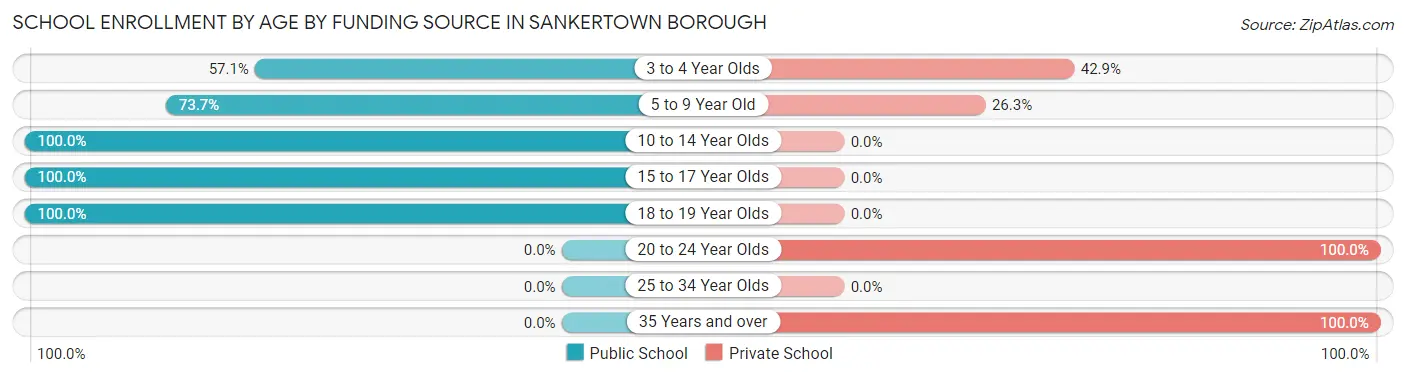 School Enrollment by Age by Funding Source in Sankertown borough